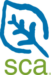 SCA Logo 16